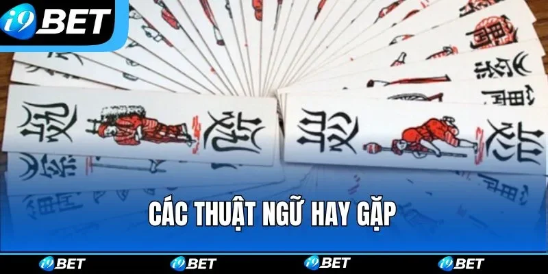 Các thuật ngữ hay gặp