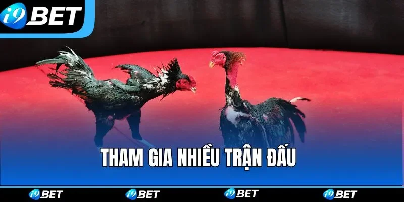 Tham gia nhiều trận đấu 