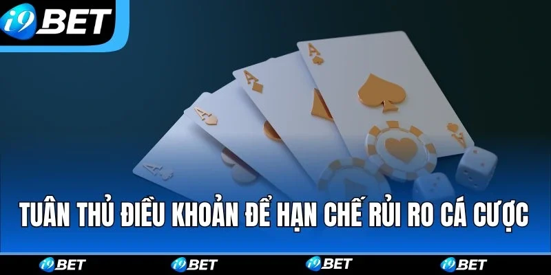 Tuân thủ điều khoản để hạn chế rủi ro khi cá cược Tuân thủ điều khoản để hạn chế rủi ro khi cá cược