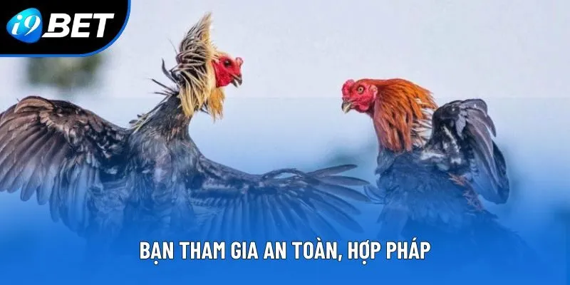 Bạn tham gia an toàn, hợp pháp