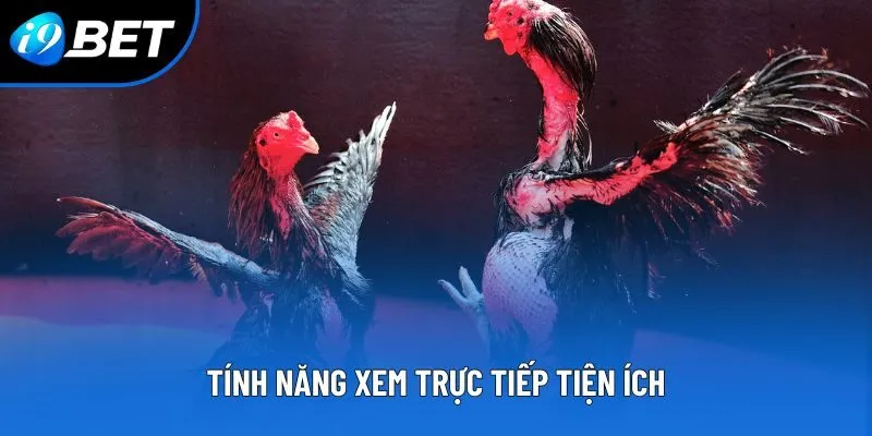 Tính năng xem trực tiếp tiện ích