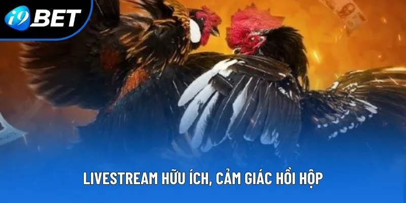 Livestream hữu ích, cảm giác hồi hộp
